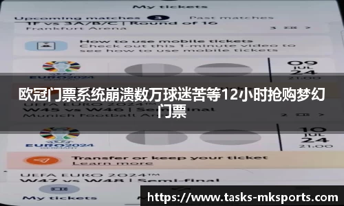mk体育APP