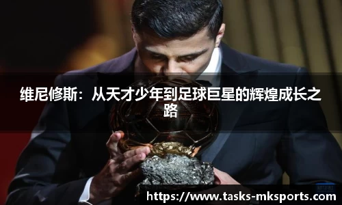 mk体育APP