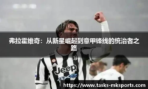 mk体育